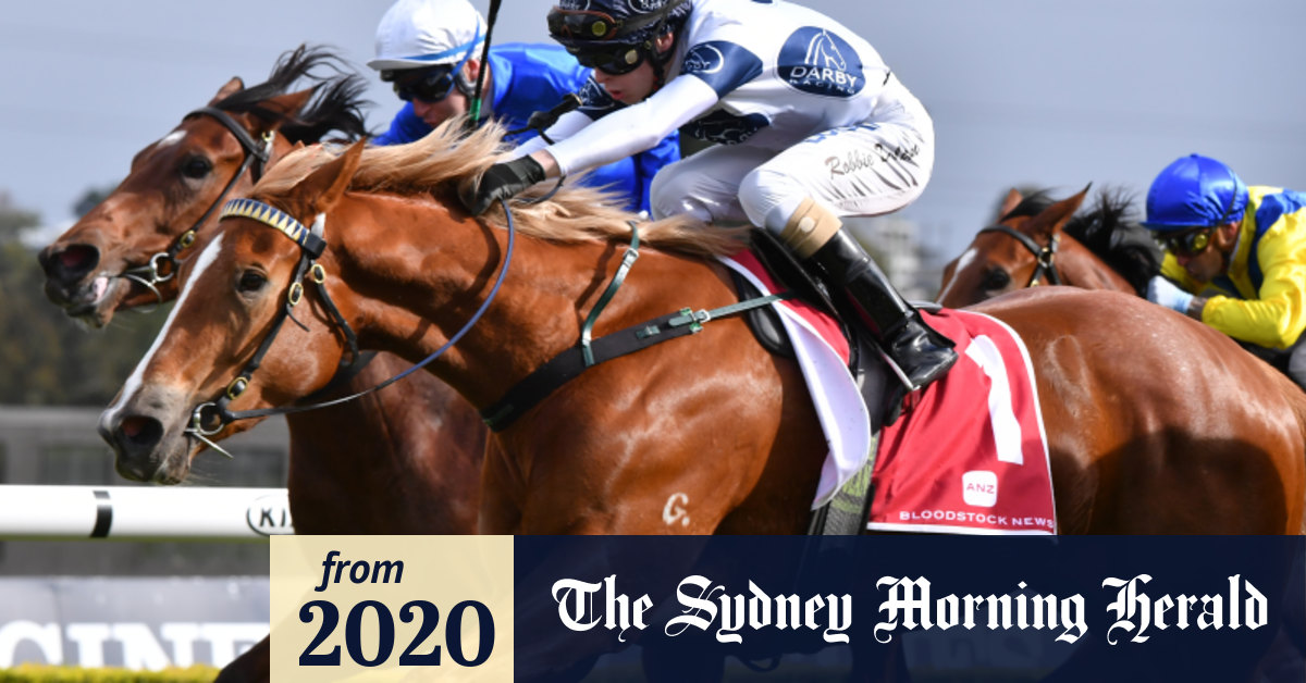 Racebyrace tips and preview for Canterbury on Friday night